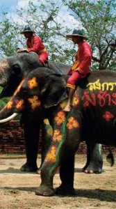 เทศกาลงานประเพณีประจำปี จังหวัดอยุธยา