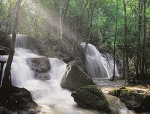 น้ำตกผาสวรรค์ อุทยานแห่งชาติเขื่อนศรีนครินทร์ จังหวัดกาญจนบุรี