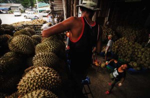 จันทบุรี ทางคนกลางสวนผลไม้