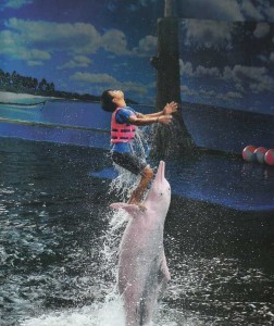 Pattaya Dolphin World