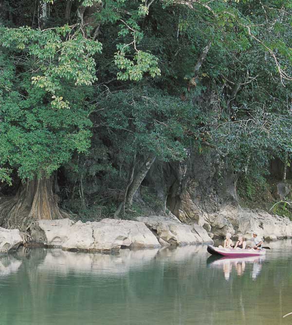 ล่องเรือแคนูคลองศก สุราษฎร์ธานี