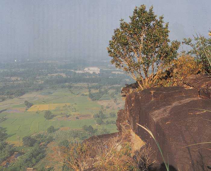 อุทยานแห่งชาตินายูง-น้ำโสม อุดรธานี